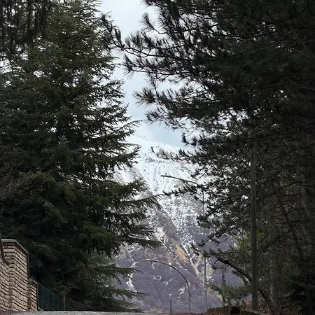 Casa Dei Boschi - *
